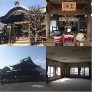 Processed with Moldiv