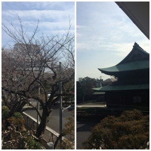 会館内からの眺め