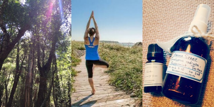 Processed with MOLDIV