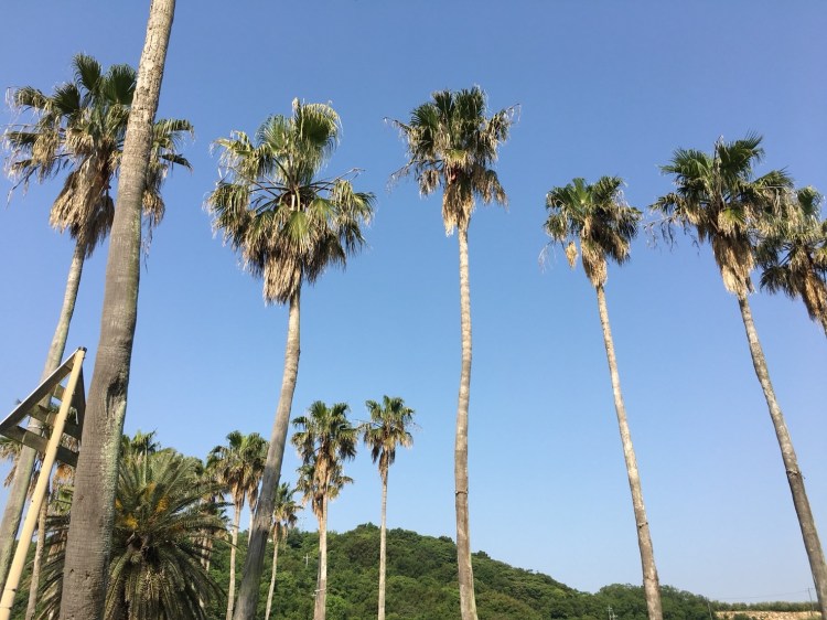 526-27@小豆島リトリート_180604_0167